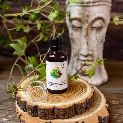 Adaptogeny Ashwagandha naturalne zioła w kroplach 2x50ml